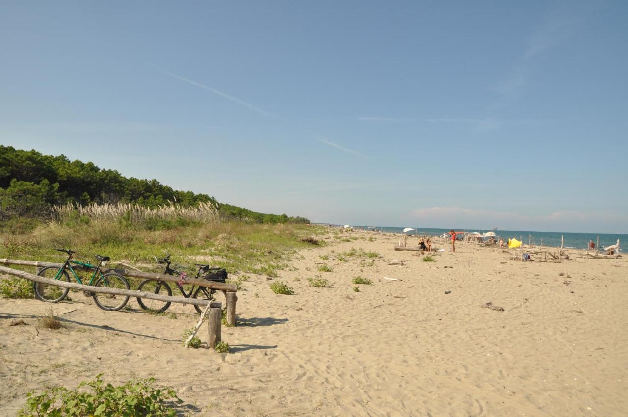 Ca' Barbona Bed & Breakfast Lido di Classe Bagian luar foto