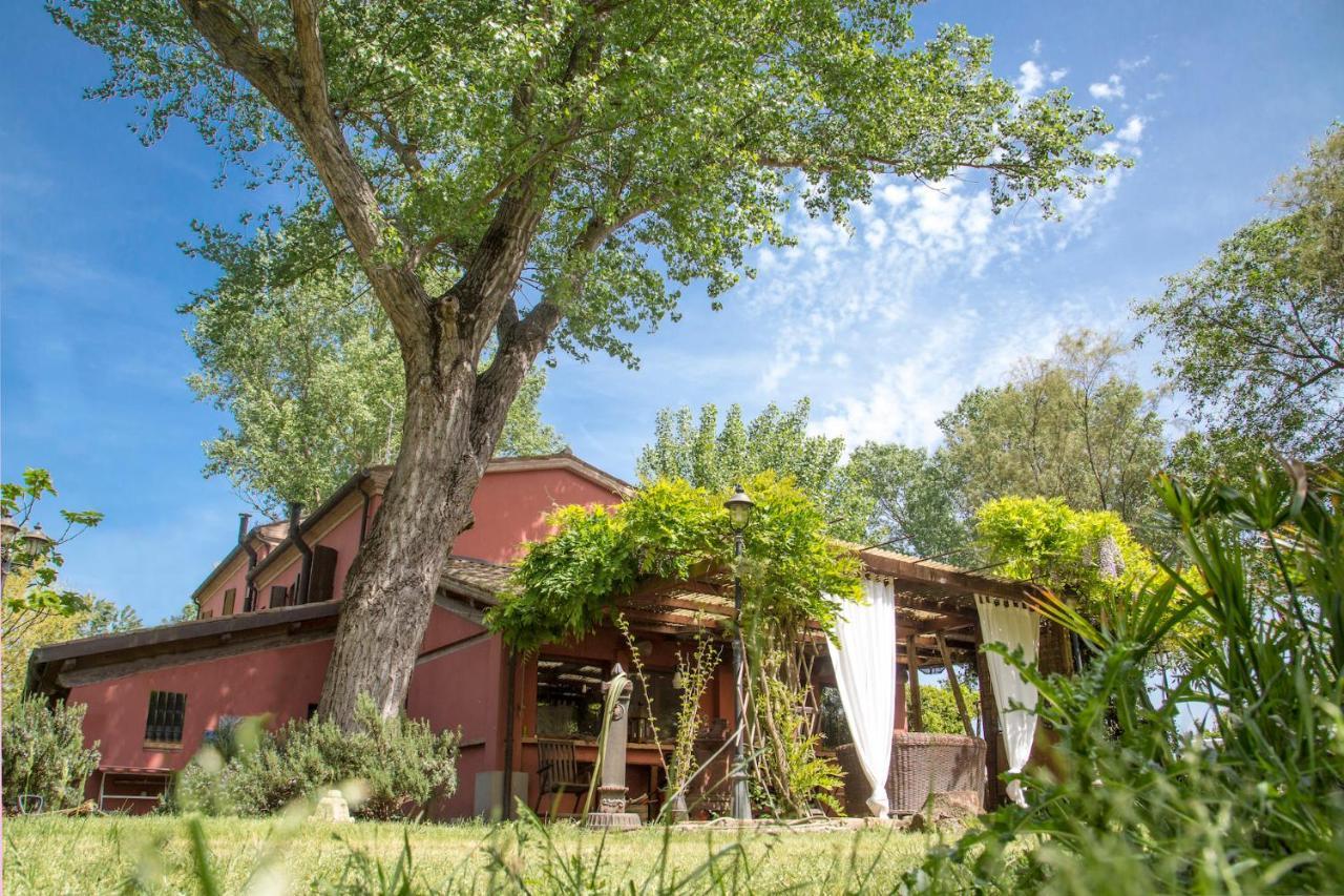 Ca' Barbona Bed & Breakfast Lido di Classe Bagian luar foto