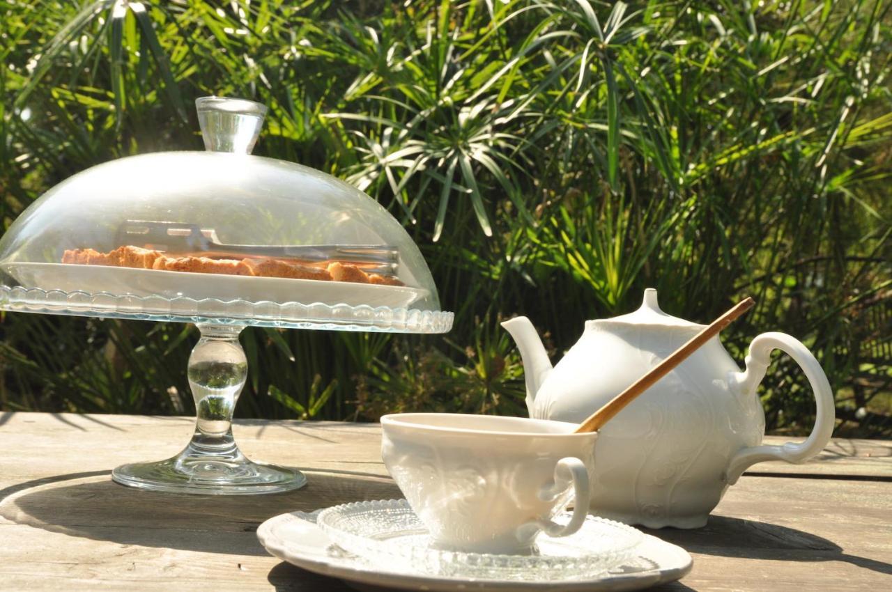 Ca' Barbona Bed & Breakfast Lido di Classe Bagian luar foto