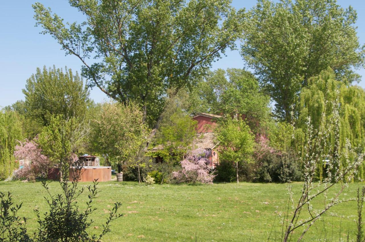 Ca' Barbona Bed & Breakfast Lido di Classe Bagian luar foto