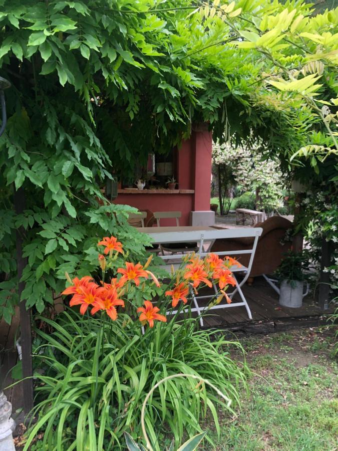 Ca' Barbona Bed & Breakfast Lido di Classe Bagian luar foto
